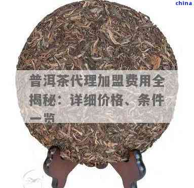 探索州普洱茶 官方聯系、優選代理與銷售全攻略