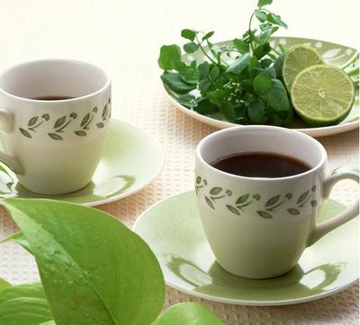 天一茶業 開啟茶香事業新篇章——茶葉代理與銷售全攻略