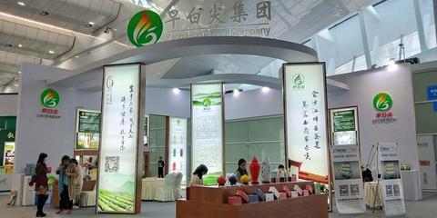全球茶界聚首早茶之都，共探產業新機 從源頭到市場的代理與銷售變革